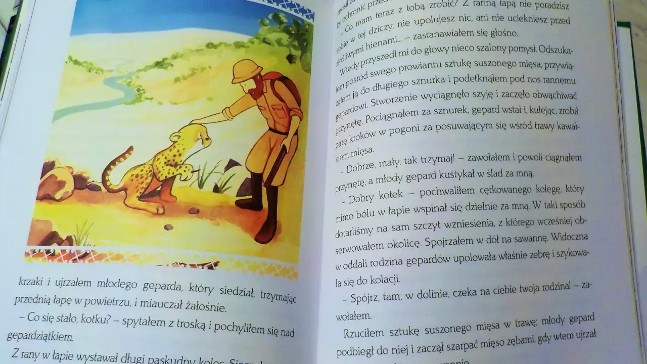 Afryka Kazika: przygoda z rannym gepardem. Kazik opatruje łapkę młodego geparda, by potem zachęcić go do ruchu.