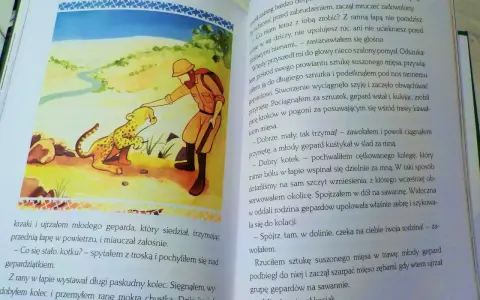 Afryka Kazika: przygoda z rannym gepardem. Kazik opatruje łapkę młodego geparda, by potem zachęcić go do ruchu.