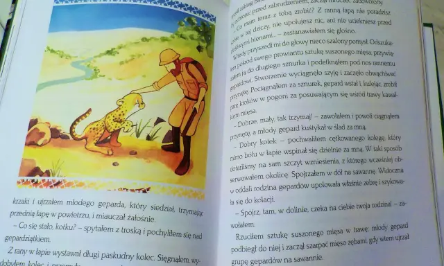 Afryka Kazika: przygoda z rannym gepardem. Kazik opatruje łapkę młodego geparda, by potem zachęcić go do ruchu.
